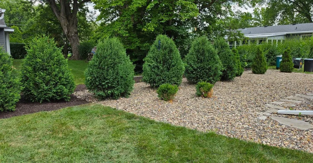 Renovated planting bed with shrubs and fresh mulch